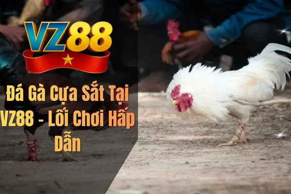 Đá Gà Cựa Sắt Tại VZ88 – Lối Chơi Hấp Dẫn