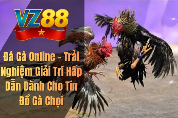 Đá Gà Online – Trải Nghiệm Giải Trí Hấp Dẫn Dành Cho Tín Đồ Gà Chọi